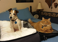 Screen shot 2016-03-28 at 10.10.19 PM