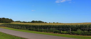 Screen shot 2016-04-04 at 11.20.24 PM