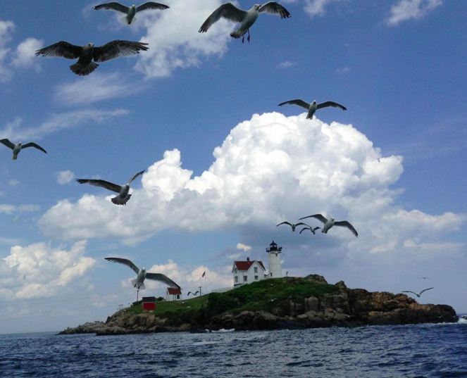 Screen shot 2016-04-11 at 7.47.23 PM