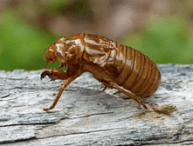 Screen shot 2016-05-22 at 9.28.32 PM