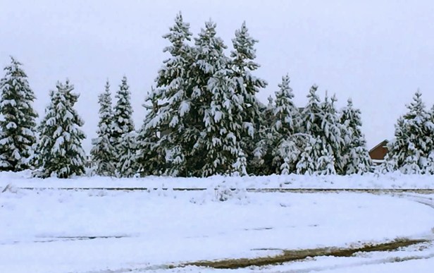 FB_IMG_1511019716521